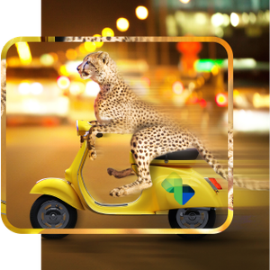 Diners Club - Ujemite hitro