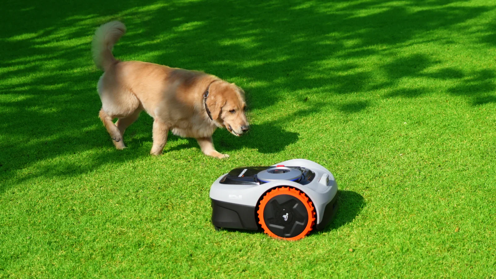 Inovativna nega zdrave trate vrhunske kakovosti V današnjem hitrem tempu življenja lastniki domov pogosto težko najdejo čas in energijo za vzdrževanje popolno urejene trate.